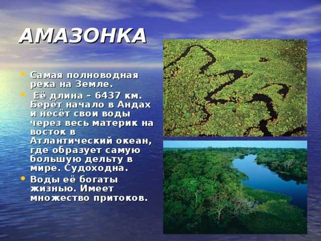 Самые длинные реки в мире: топ-10 крупнейших