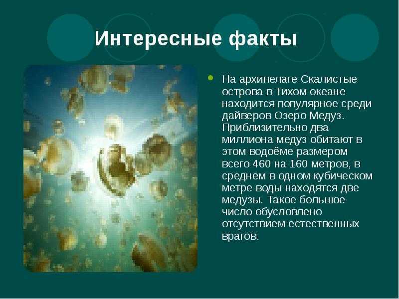 Интересные факты про россию – самую большую страну мира