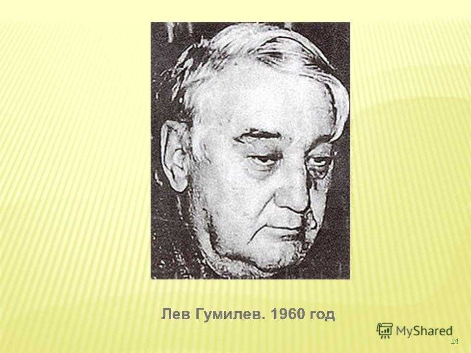 Лев гумилев биография. Лев Гумилев 1960. Портрет л.н.Гумилева. Лев Гумилев TNO портрет. Учитель Льва Гумилева.