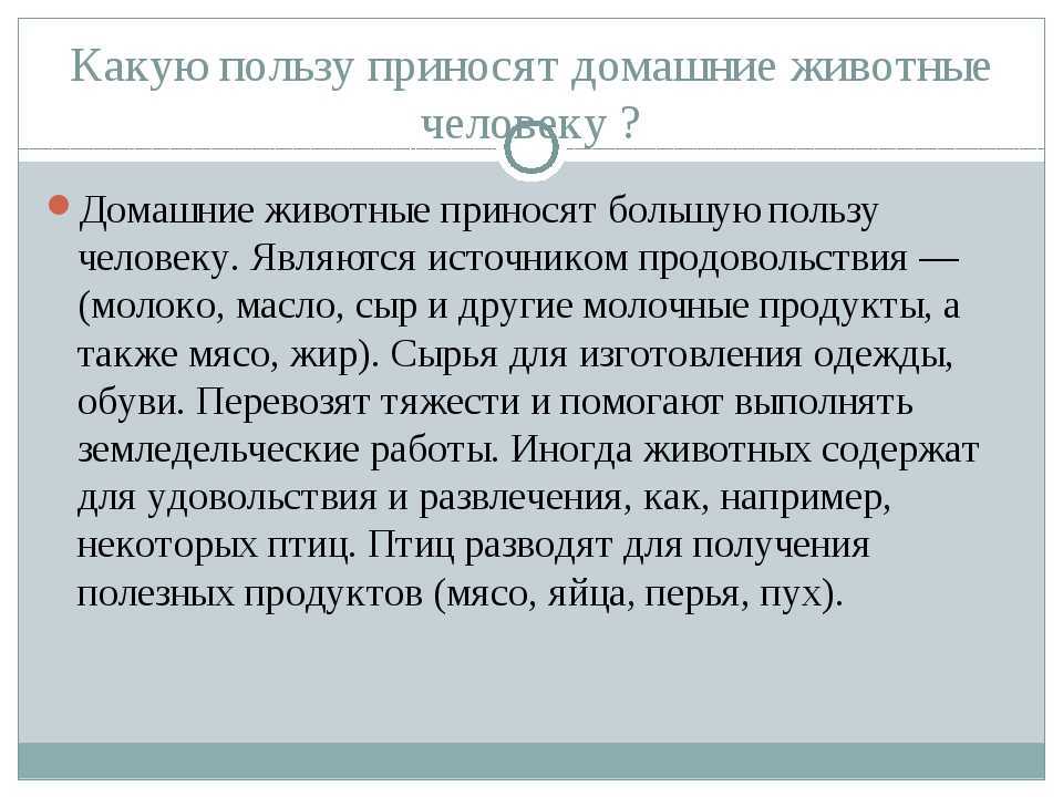 Корова животное. особенности и уход за коровой | животный мир