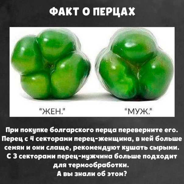 Интересный факт об овощах и фруктах. интересные факты об овощах. | здоровье человека