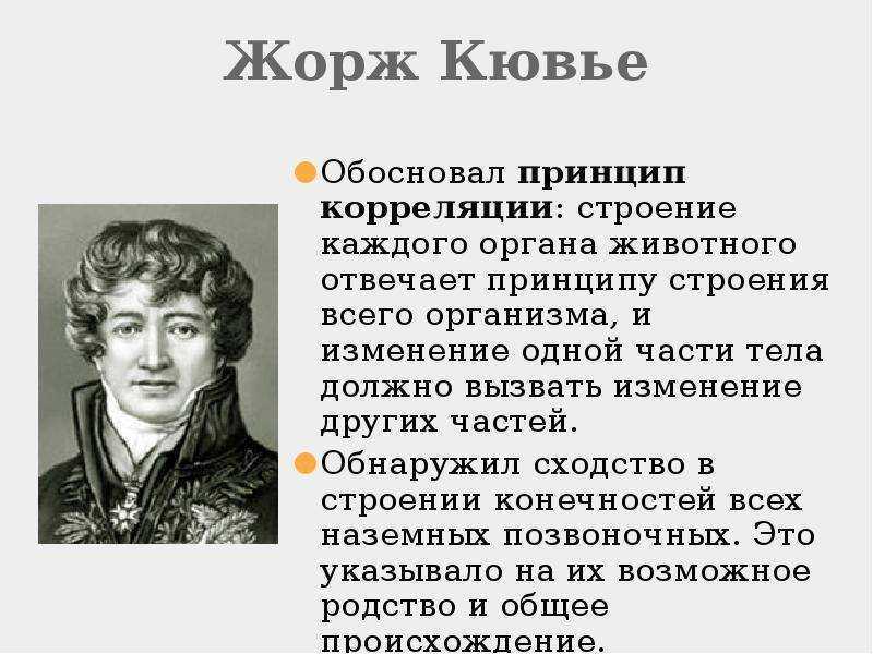 Теория ж кювье. Ж Кювье вклад в биологию.