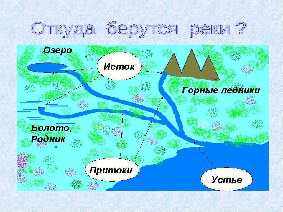 Откуда. Куда течет река?. Схема течения реки. Река части реки для детей. Исток реки схема.