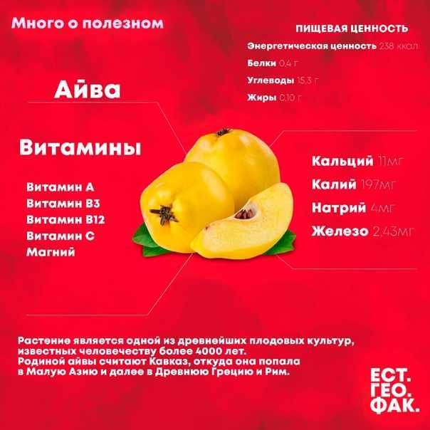 Айва: полезные свойства и противопоказания для женщин и мужчин