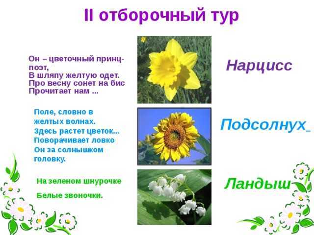 Интересные факты о природе
