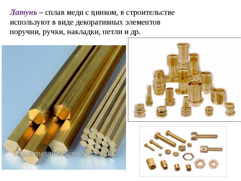 Самые интересные факты о головоногих моллюсках - всё самое красивое... и не только - 19 апреля - 43606735287 - медиаплатформа миртесен