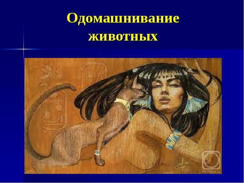 Глава 2 одомашнивание животных. животные