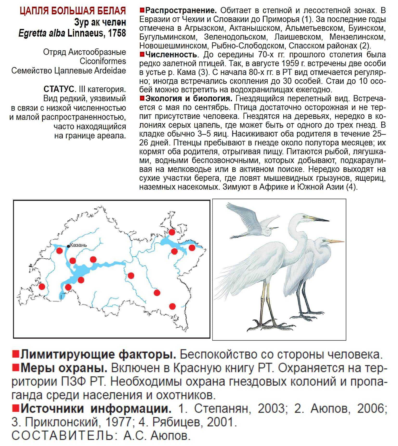 Цапля. среда обитания и образ жизни цапли