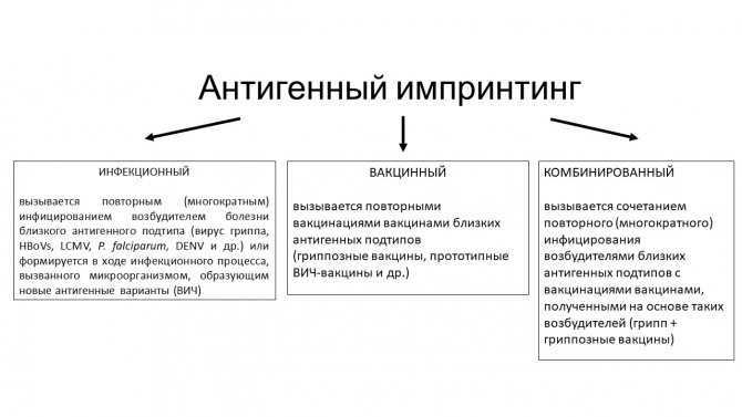 Этология.ру: рождение и импринтинг (библиотека)