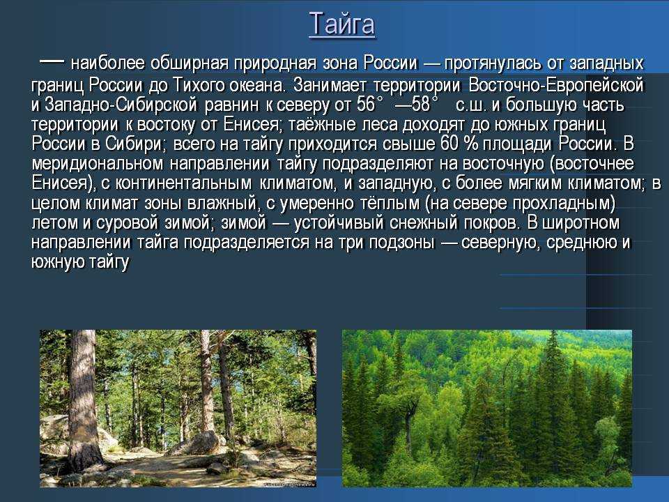 Территория тайги это леса занимающие. Особенности природы тайги. Климат таежной зоны. Климат тайги в России. Тайга природная зона.