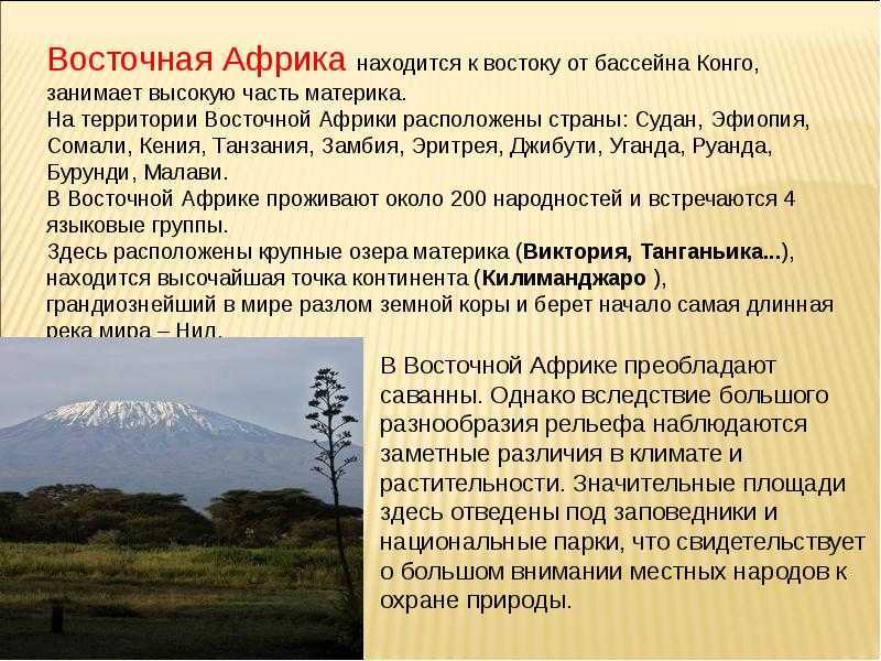 о Танзании это замечательная возможность узнать больше о Восточной Африке Большая часть территории страны покрыта плоскогорьями В