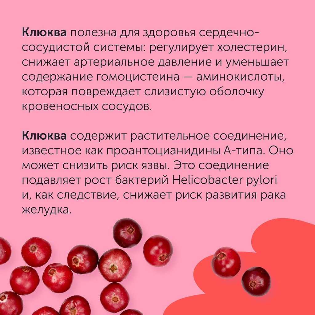 Свойства клюквы. Чем полезна клюква. Чем полезна клюква для организма. Клюква польза. Чем полезна клюква для организма человека.