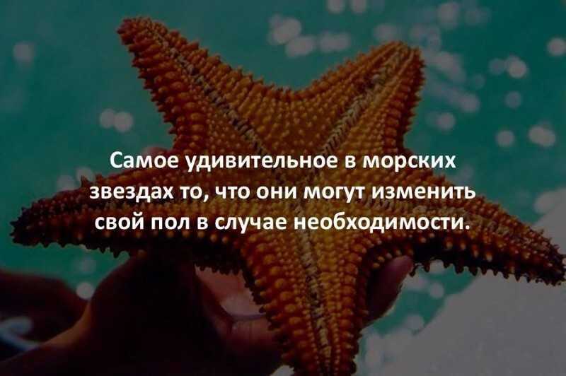 Интересные факты о румынии