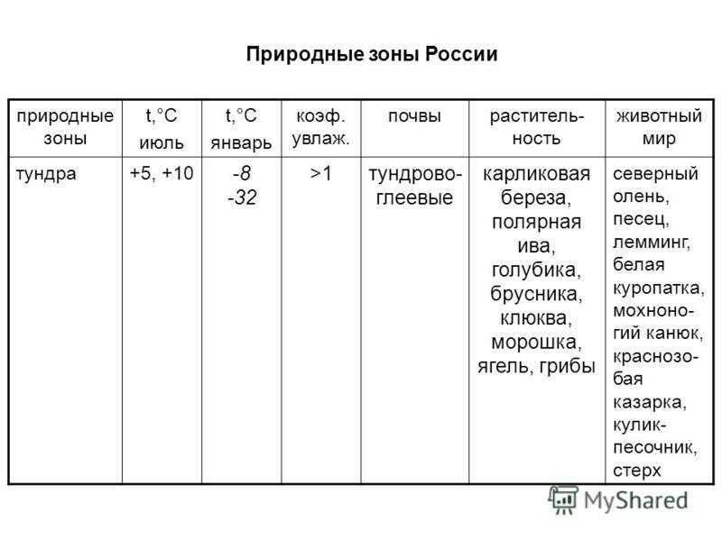 Растения тундры. какие растения встречаются в тундре?
