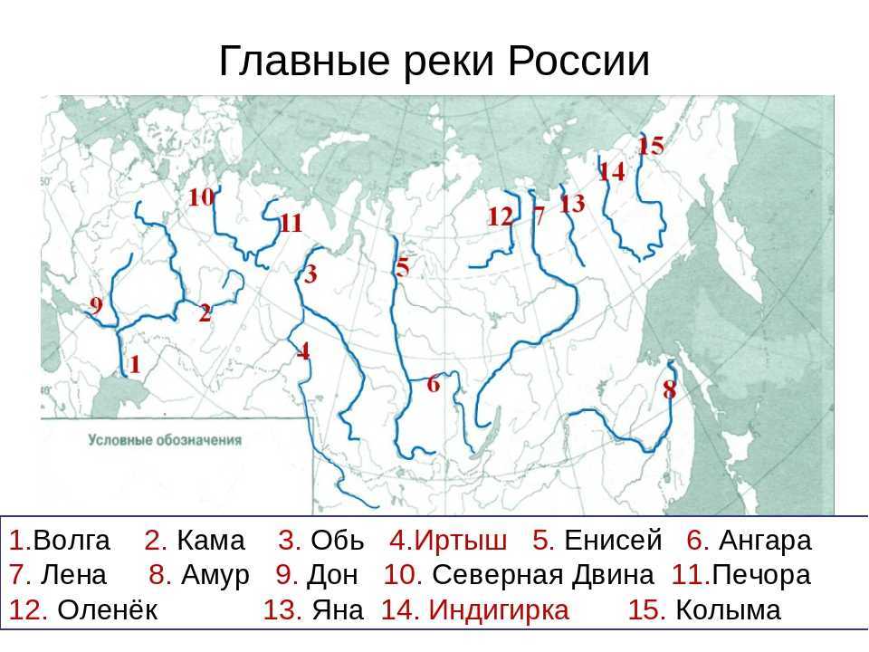 Река лена: куда впадает, притоки, режим, длина, глубина, ширина