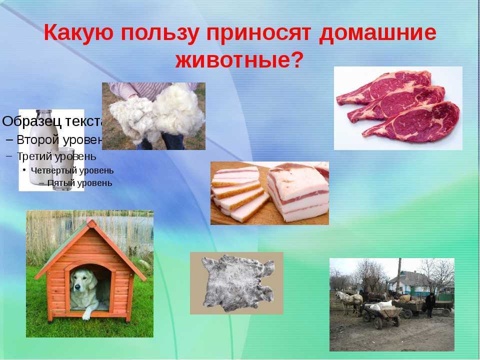 Плешаков. 3 класс. рт №2, с. 34 – 37 |  развивайка