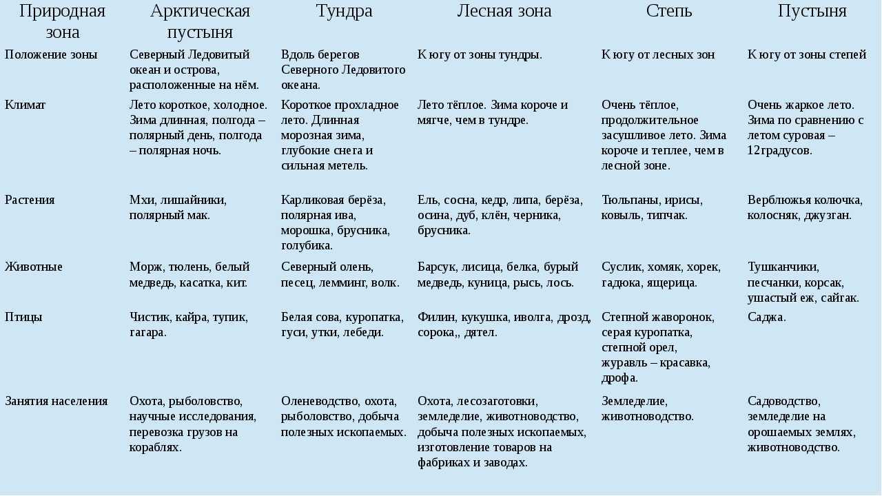 Сравнительная характеристика двух природных зон тундра и степь по плану