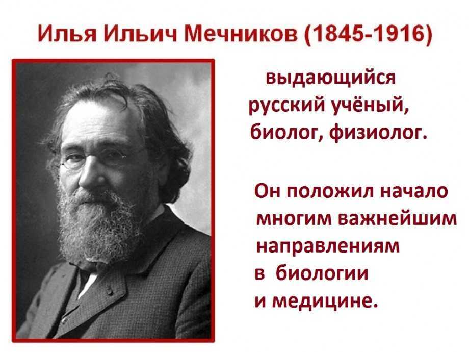 Что открыл мечников в биологии. Ильи Ильича Мечникова (1845—1916). Мечников ученый.