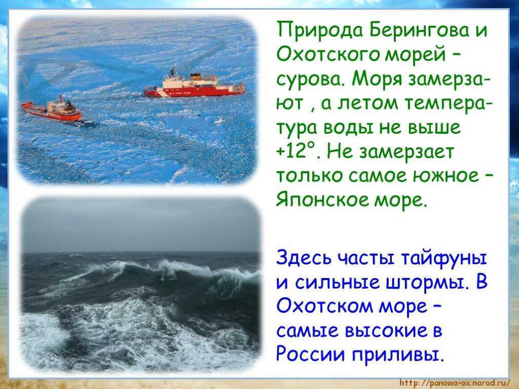Топ 10 самые большие моря россии по площади