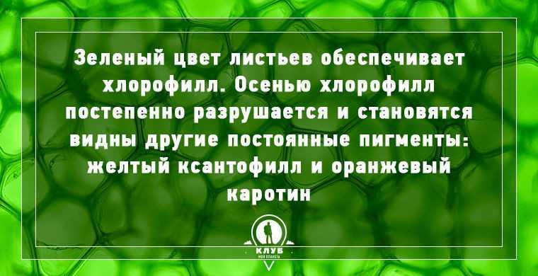 Почему происходит смена времен года и суток