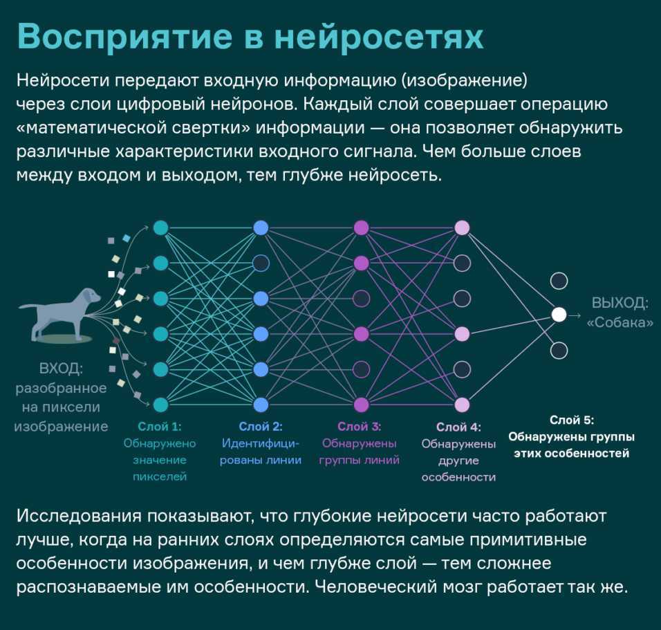 Анализ изображения нейросетью