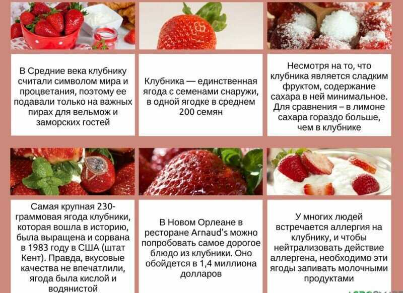 о клубнике расскажут вам о ценности этой уникальной ягоды Клубника не только богата полезными микроэлементами и витаминами, но и приятна
