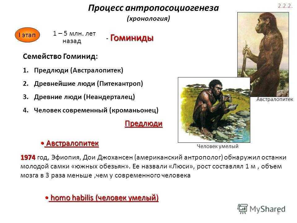 Способы добычи огня: как разжечь костер без спичек и зажигалки в лесу