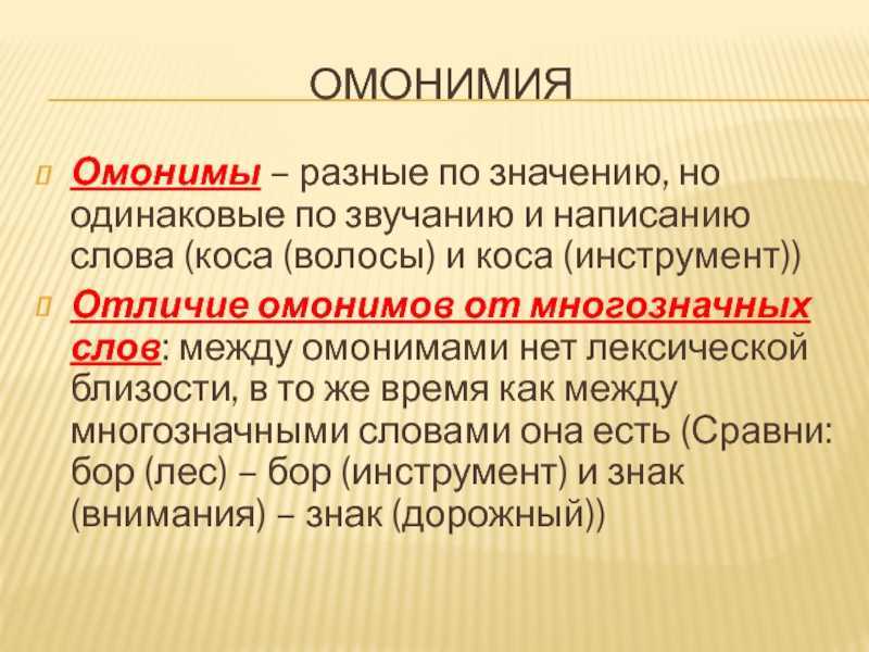 Омонимы