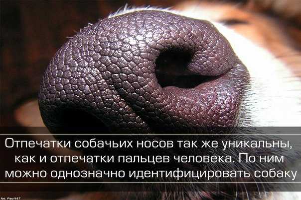 Страны юго-восточной азии: характеристика государств