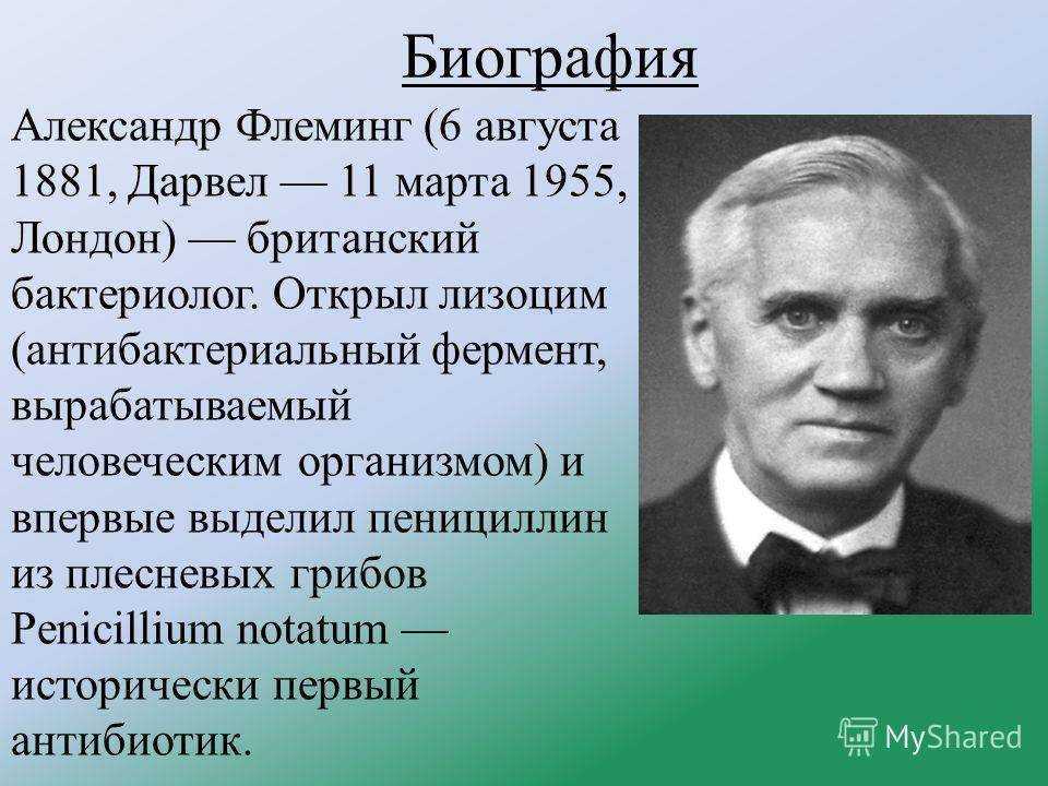 Александр флеминг: биография, открытие пенициллина, научные достижения, дата и причина смерти :: syl.ru