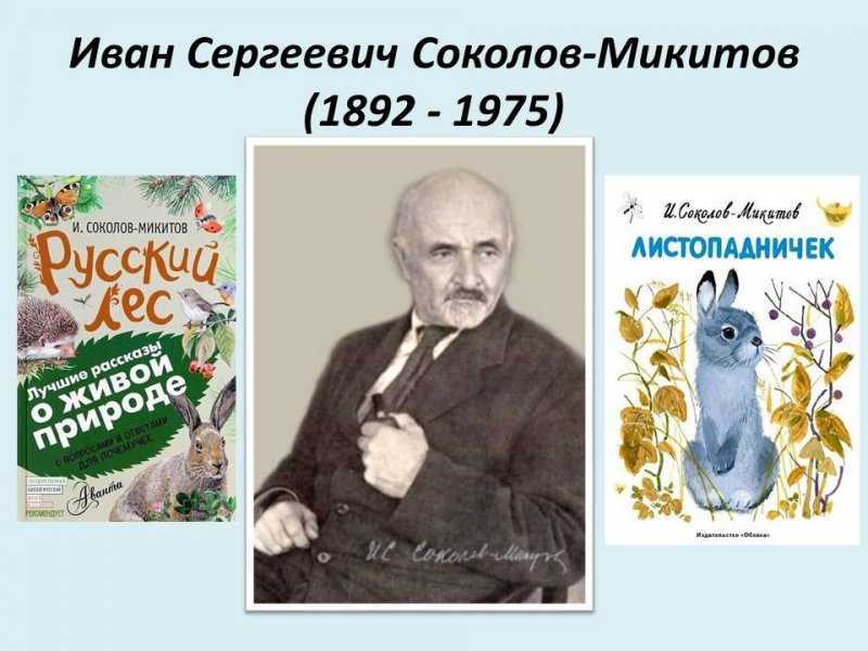 Март в лесу соколов микитов 3 класс презентация