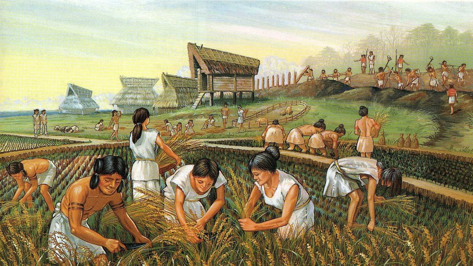 История сельского хозяйства началась около 11 000 лет назад Изменение климата и усовершенствование оружия привели к исчезновению многих видов животных
