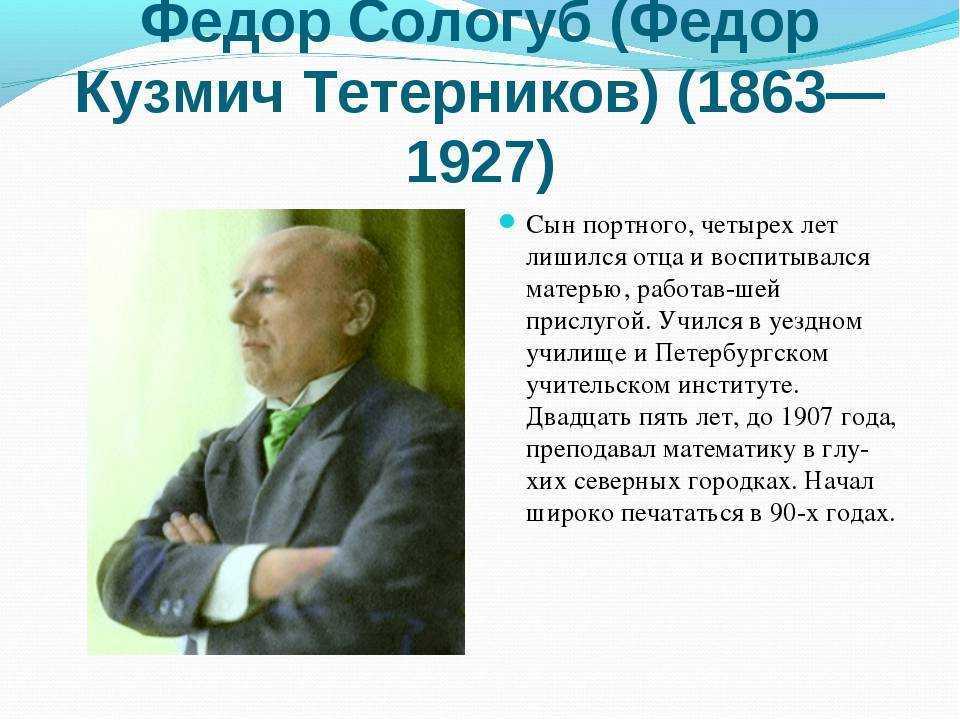 Интересные факты о сологубе