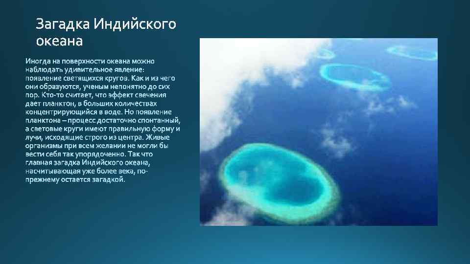 Интересные факты о карибском море