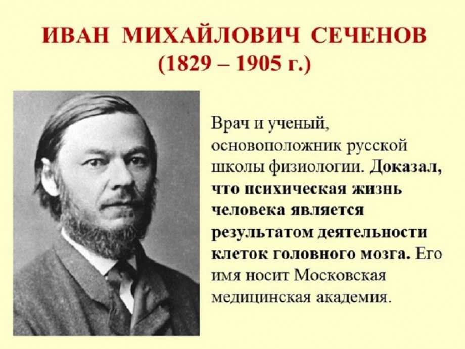 Основной вклад ивана. Иван Михайлович Сеченов (1829-1905 гг.).. Сеченов и.м. (1829-1905). Сеченов Иван Михайлович открытия. Русский ученый Иван Михайлович Сеченов.