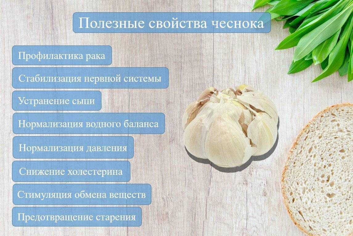20 интересных фактов обо всем на свете, которые разбавят даже самый скучный разговор