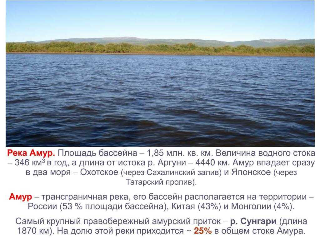 ✅ амур - fishingopt.su