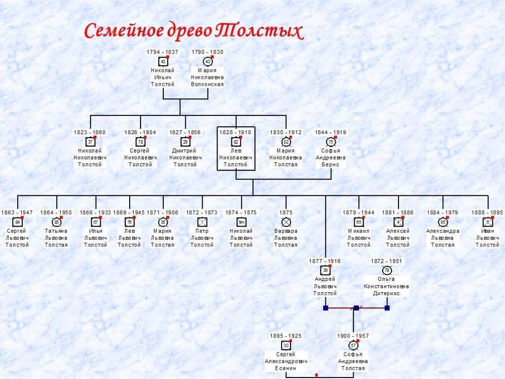 Выдающийся русский писатель, философ и мыслитель граф Лев Николаевич Толстой известен во всем мире Даже в самых дальних уголках мира, как только речь