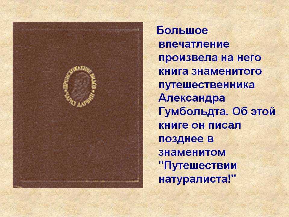 Вильгельм фон гумбольдт – один из основателей лингвистики