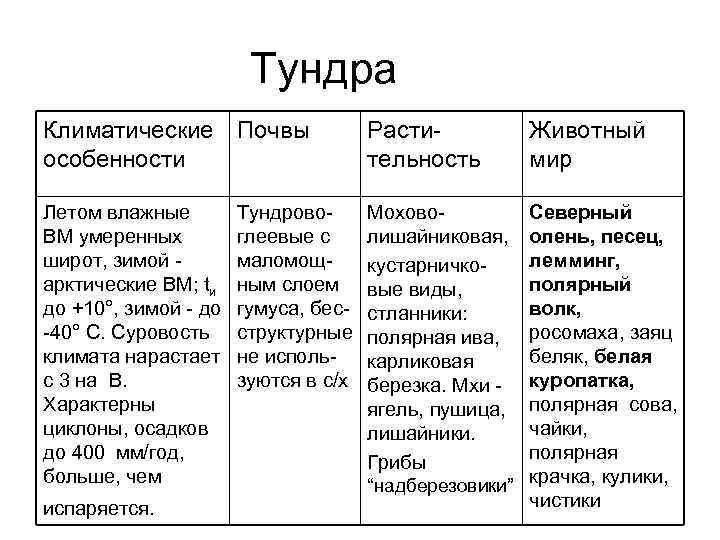 Тундра - описание, животные тундры, растения тундры
