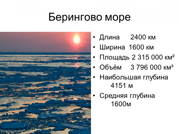 Берингово море: характеристики, формирование, биоразнообразие и угрозы | сетевая метеорология