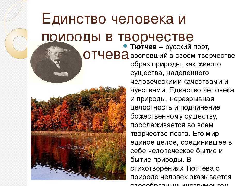 Чем различаются картины осенней природы в стихотворении тютчева и некрасова перед дождем