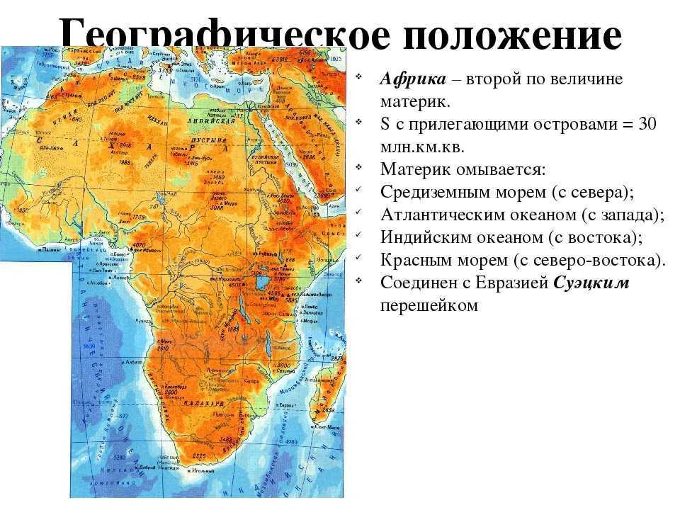 Африка – площадь и характеристика материка, на каком континенте находится