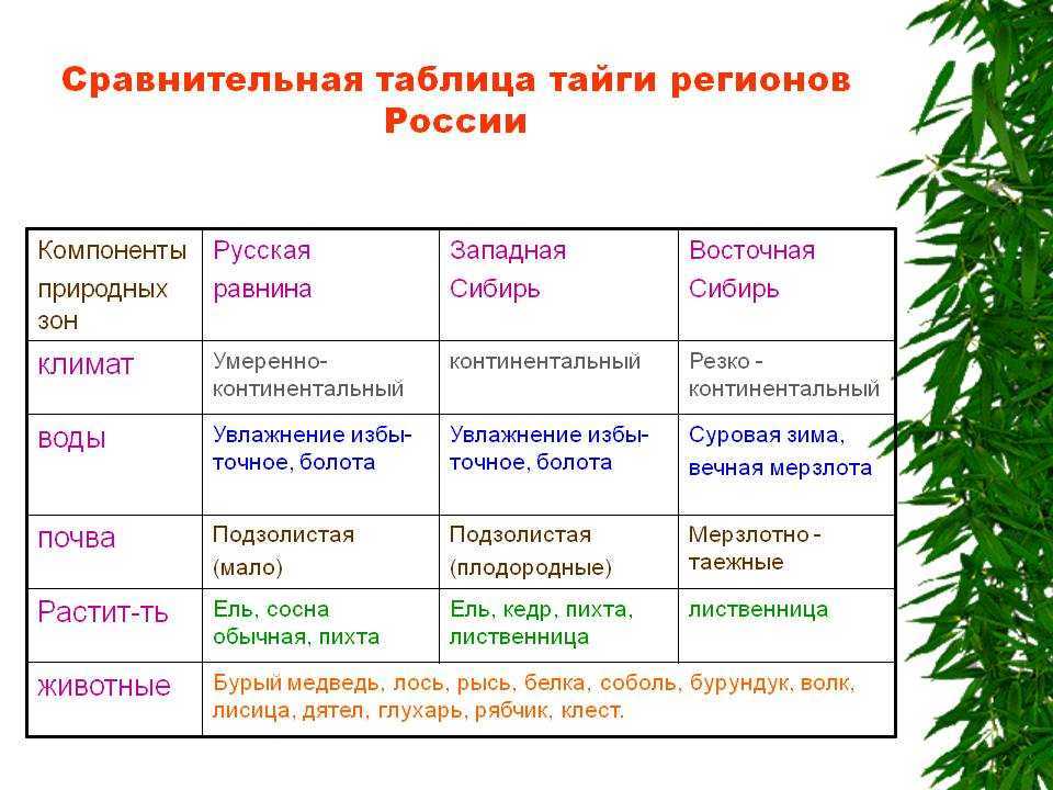 Сравнительная таблица природных зон россии