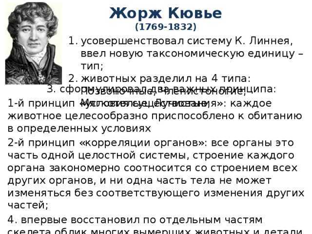 Теория ж кювье. Кювье заслуга учёного.