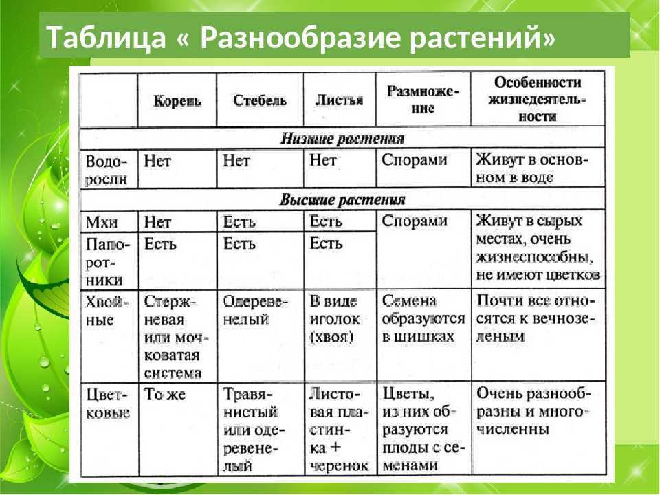 Общий признак растений и животных 5 класс