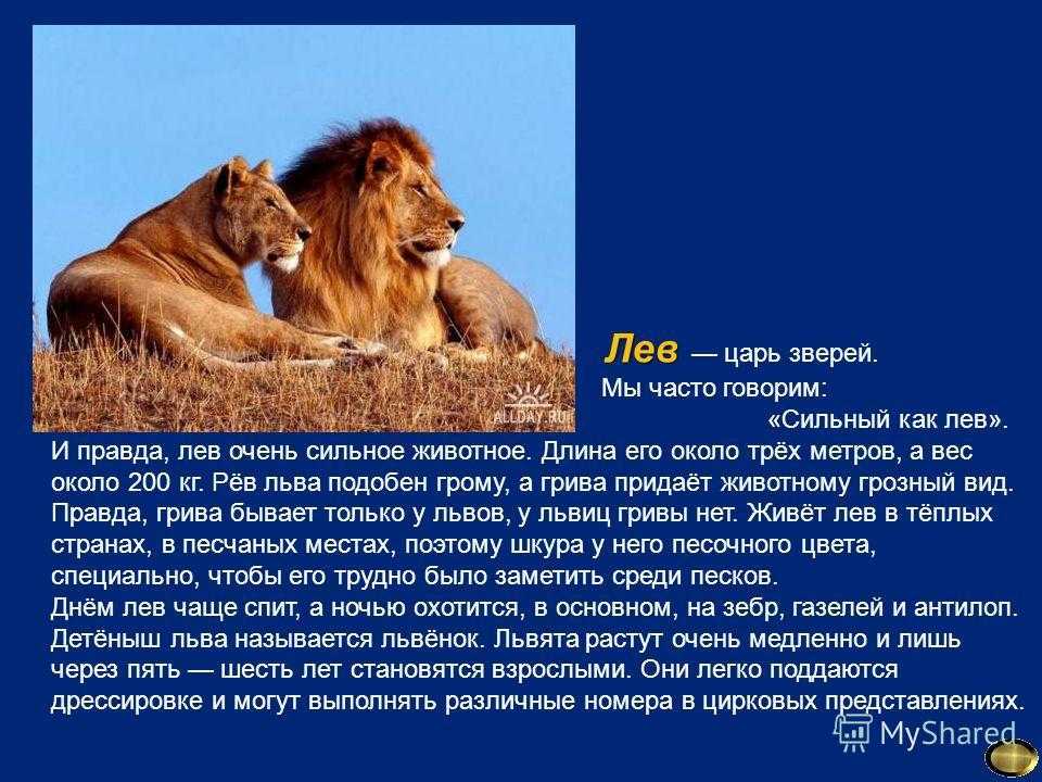 Животные саванны. описания, названия и особенности животных саванны | животный мир
