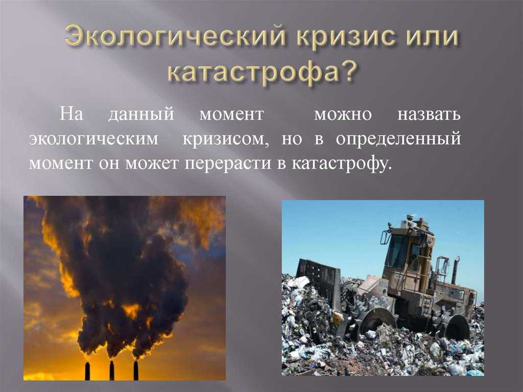Экологические катастрофы и стихийные бедствия в россии и мире