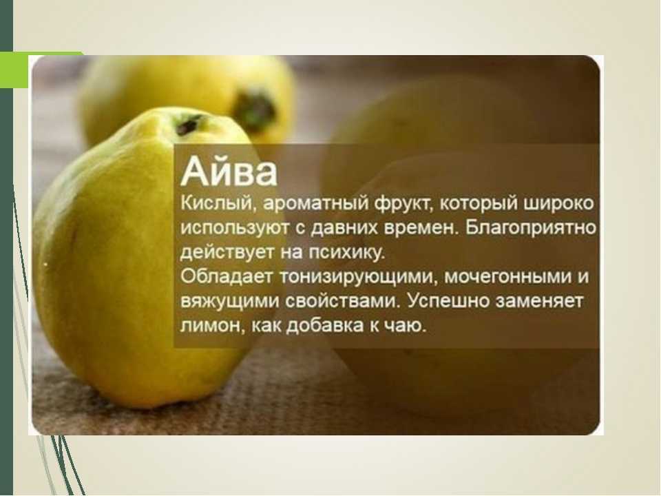 Айва: 20 полезных свойств, 5 противопоказаний, применение. польза и вред айвы для здоровья женщины, мужчины, кожи, волос