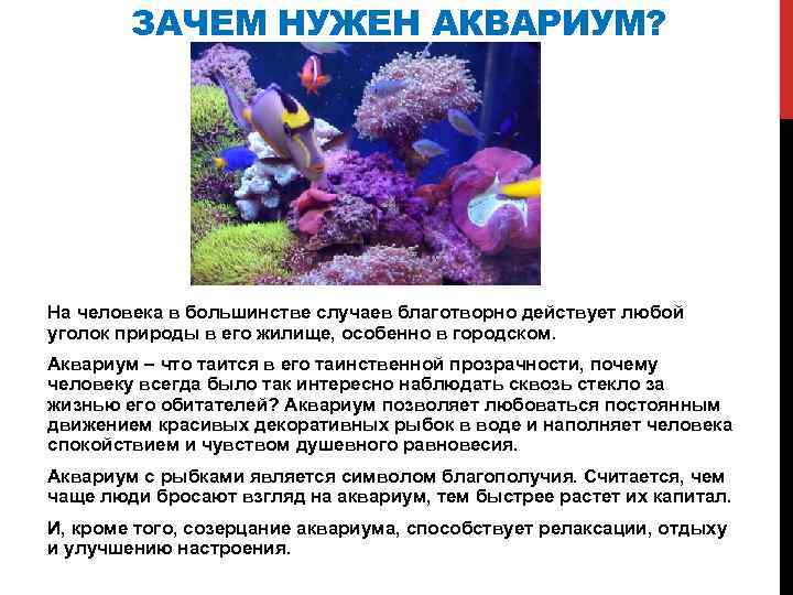 Исследование аквариумных рыбок какая наука. Стихи про аквариумных рыбок. Аквариумные рыбки проект. Презентация на тему аквариум. Стихи про аквариумных рыбок для детей.